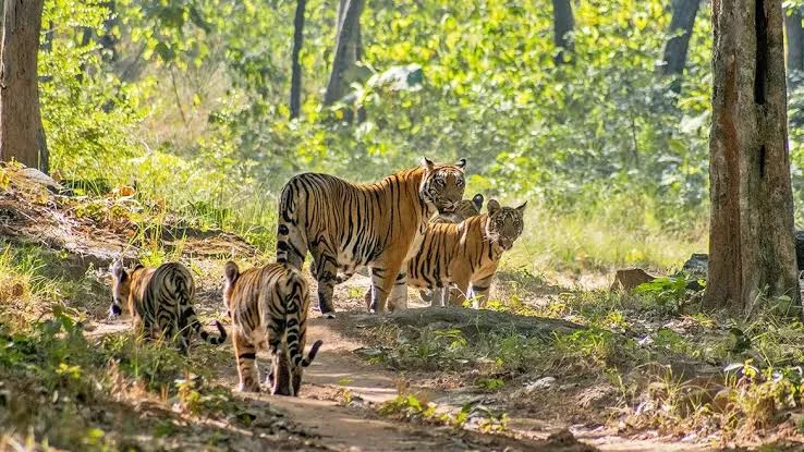 wildlife sanctuary in Rajasthan